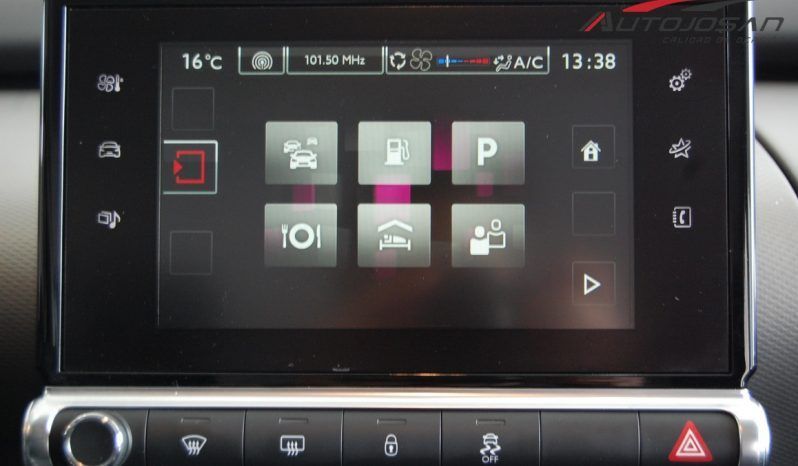 Citroën C4 Cactus BlueHDi Feel lleno