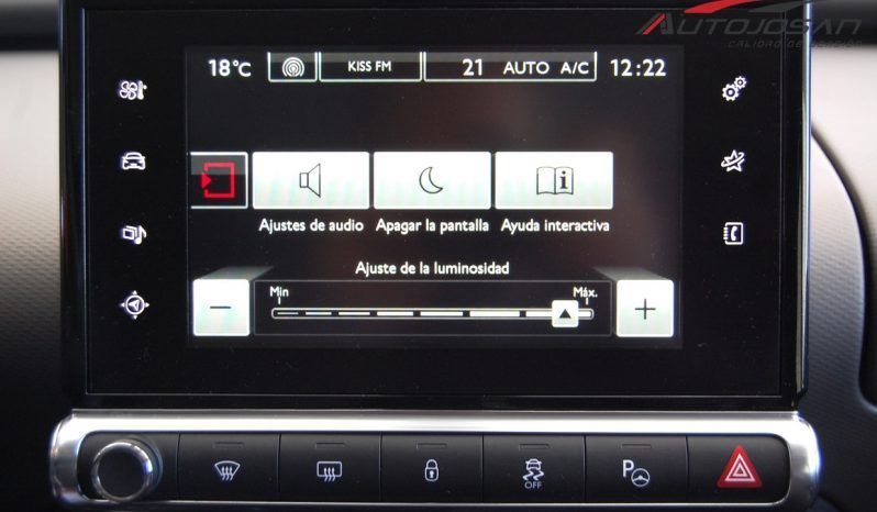 Citroën C4 Cactus BlueHDi Shine lleno